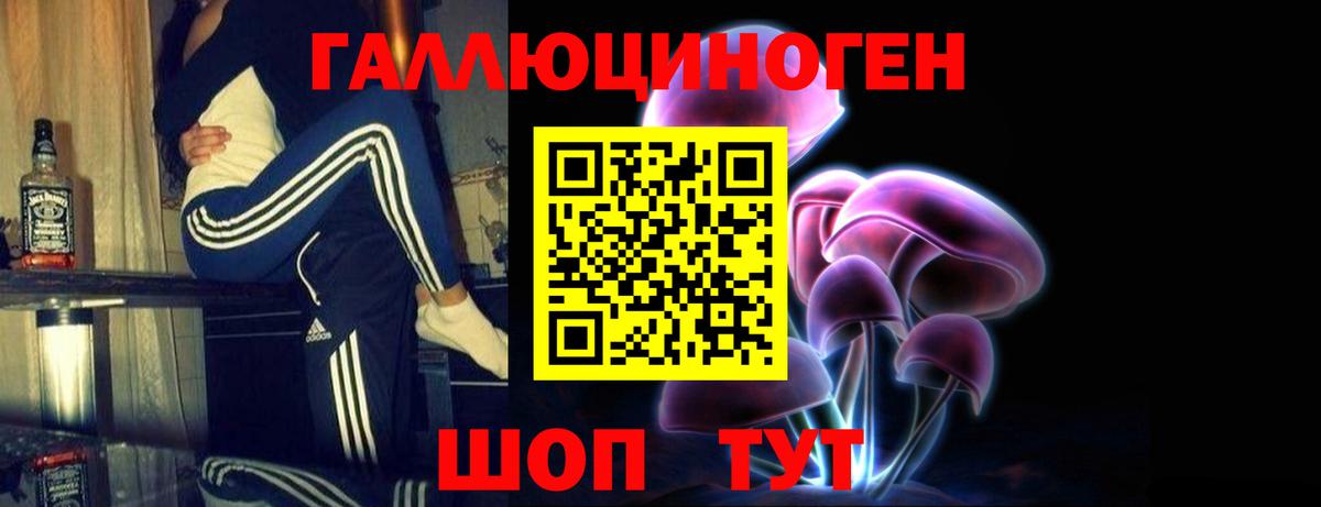 Галлюциногенные грибы Psilocybe Обь
